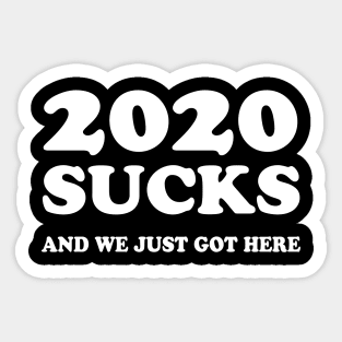 2020 sucks and we just got here Sticker